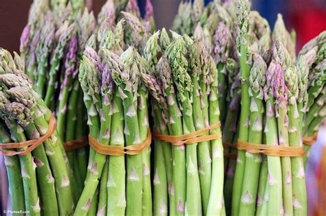 <strong>Asparagus</strong> is a perennial vegetable, so you just plant them once and enjoy season after season of succulent spears. . Ebay asparagus